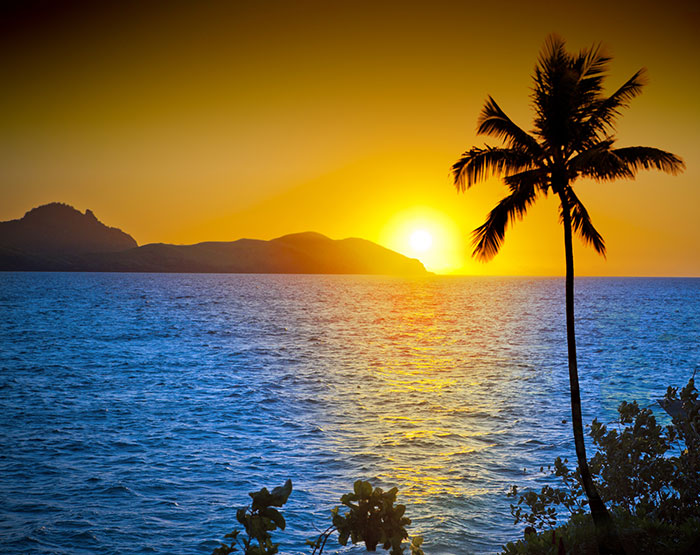 Tropical sunset over the ocean with palm tree